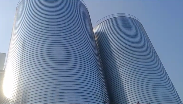 南桥镇2座混凝土高架卷板仓